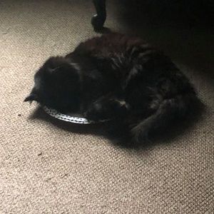 Meet your Posher, Christian